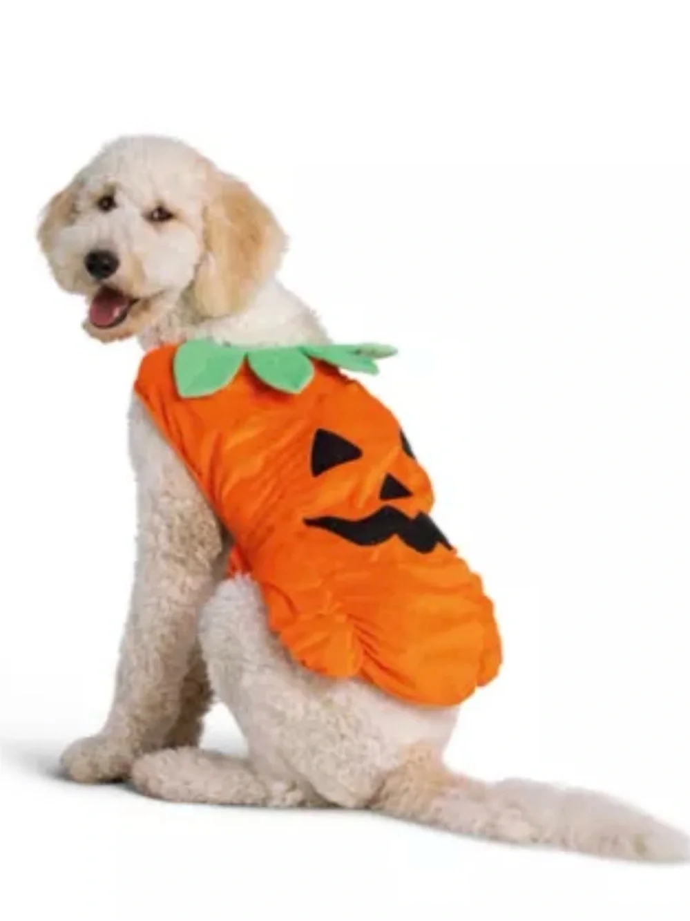 Pet Pumpkin Costume for Cats and Small Dogs - Orange